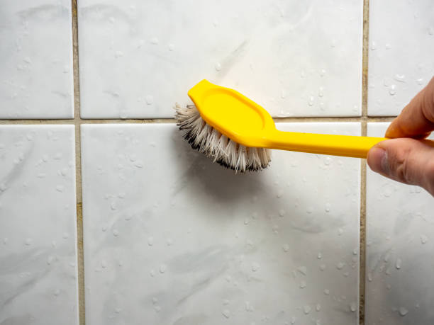 Best Post-Remediation Services in Shorewood Forest, IN